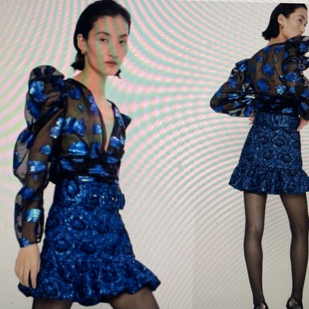 NWOT Zara Blue Jacquard Women's metallic Skirt With Frilled Hem Size Small